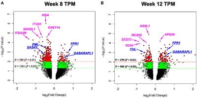 Identification of Novel Signal Transduction, Immune Function, and Oxidative Stress Genes and Pathways by Topiramate for Treatment of Methamphetamine Dependence Based on Secondary Outcomes